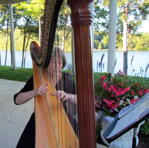 Gallery photo 2 of Continuo  Music