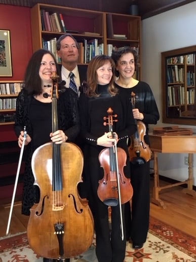 Gallery photo 6 of Continuo  Music