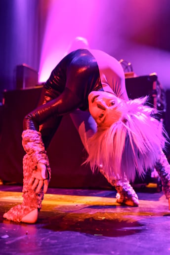 Gallery photo 2 of Contortion Ambiance Performance