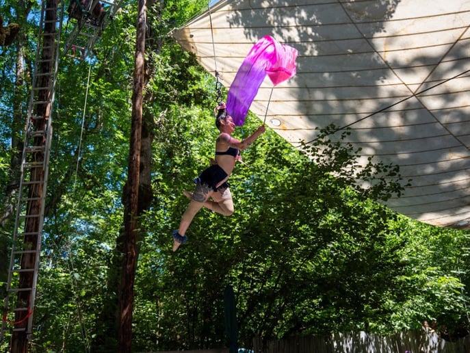 Gallery photo 7 of Orchid Hair Hanging and Contortion
