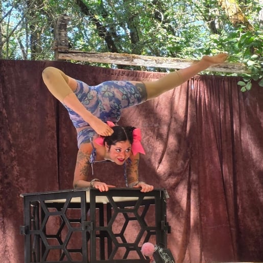 Gallery photo 9 of Orchid Hair Hanging and Contortion