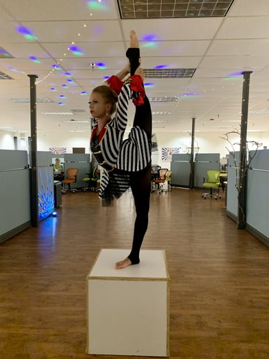 Gallery photo 4 of Aerialist/Contortion Event Performer