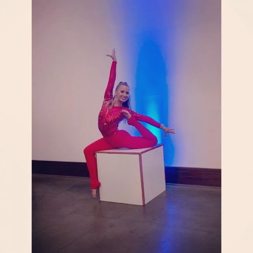 Gallery photo 7 of Aerialist/Contortion Event Performer