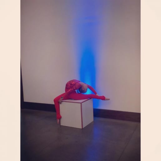 Gallery photo 8 of Aerialist/Contortion Event Performer