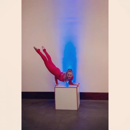 Gallery photo 9 of Aerialist/Contortion Event Performer