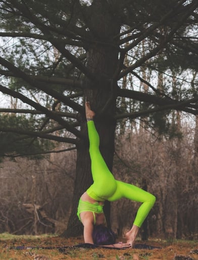 Gallery photo 5 of Elaina M. - Contortionist/Handbalance