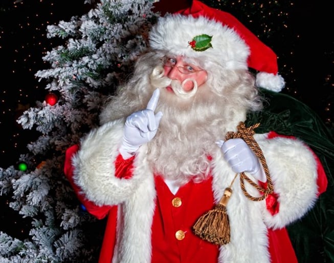 Gallery photo 3 of Conway Santa