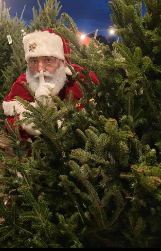 Gallery photo 9 of Santa Leon
