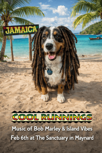 Gallery photo 6 of Cool Runnings Reggae Band