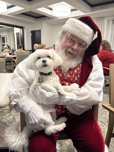 Gallery photo 7 of Cool Siddy Santa