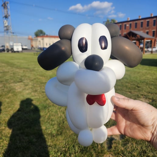 Gallery photo 6 of Cooper & Co Balloons