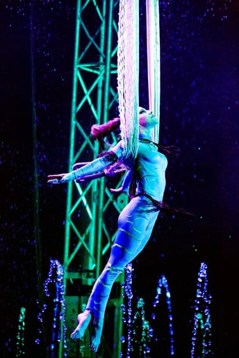 Gallery photo 4 of Corissa's elegant aerial performances
