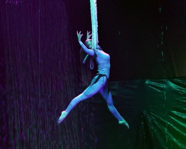 Gallery photo 7 of Corissa's elegant aerial performances