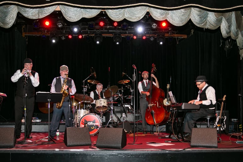 Gallery photo 4 of Cosmo Alleycats