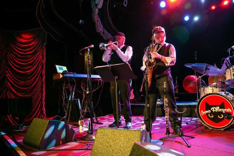 Gallery photo 5 of Cosmo Alleycats