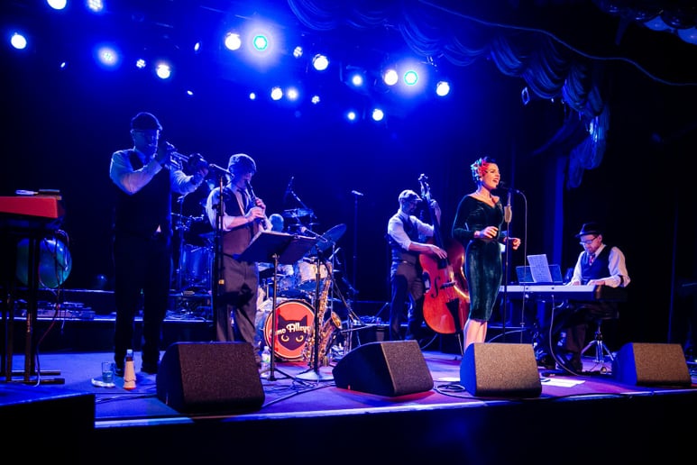 Gallery photo 6 of Cosmo Alleycats