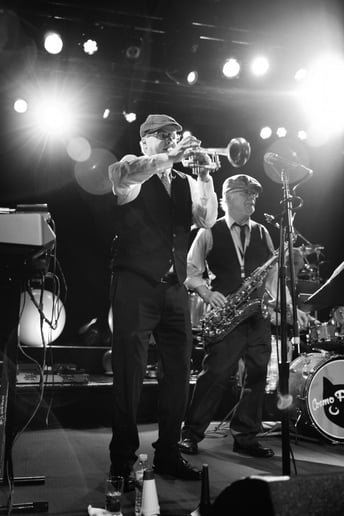 Gallery photo 7 of Cosmo Alleycats