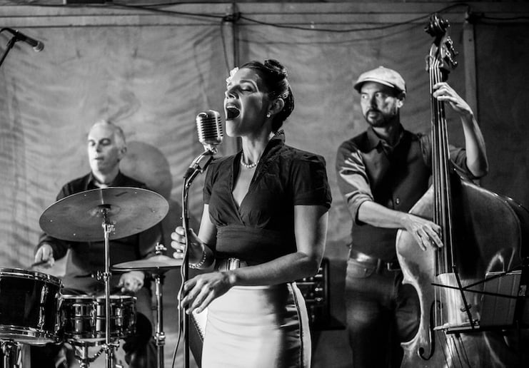 Gallery photo 9 of Cosmo Alleycats