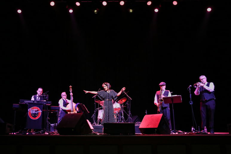 Gallery photo 12 of Cosmo Alleycats
