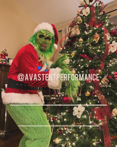 Gallery photo 60 of Avast Entertainment