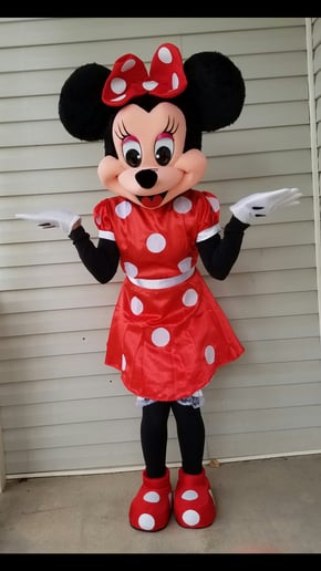 Gallery photo 3 of Costume Character rentals