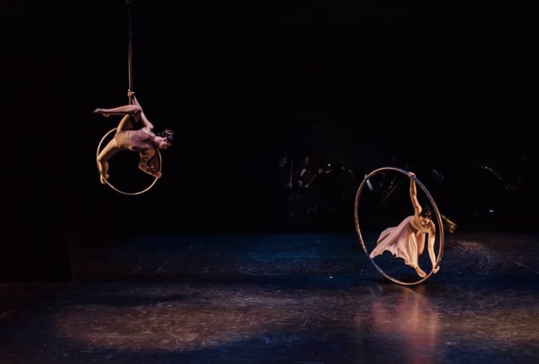 Gallery photo 4 of Counter Balance Cyr