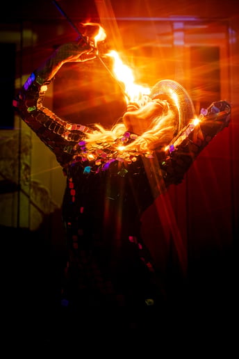 Gallery photo 6 of Countess of Confusion