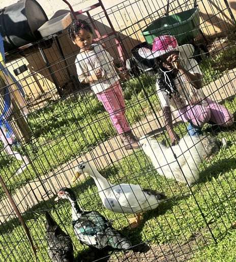 Gallery photo 4 of Country City Cowboys