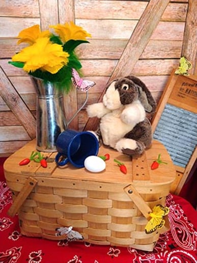 Gallery photo 3 of Country Conjuring Magic!