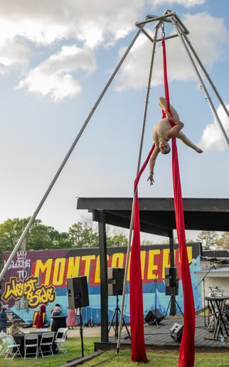 Gallery photo 3 of Court on Silks