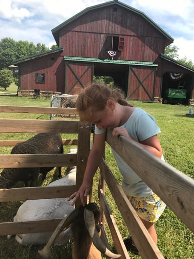 Gallery photo 5 of Cowboy Critters Petting Zoo & Pony Rides