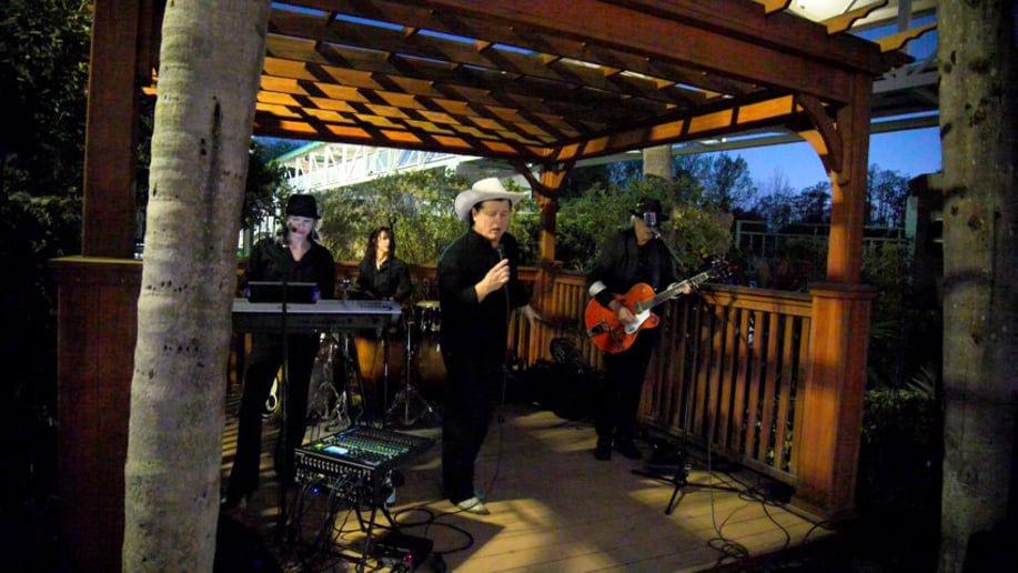 Gallery photo 4 of Craig Singleton Band