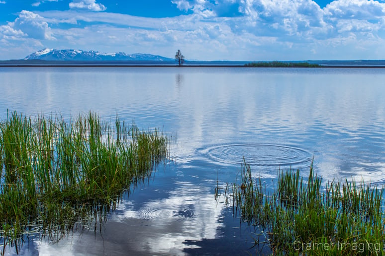 Gallery photo 1 of Cramer Imaging