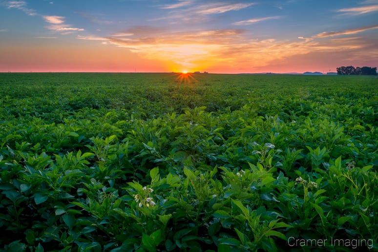 Gallery photo 3 of Cramer Imaging