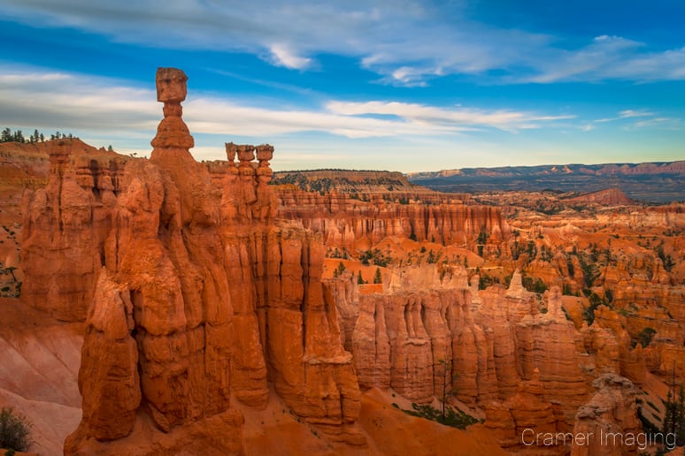 Gallery photo 10 of Cramer Imaging