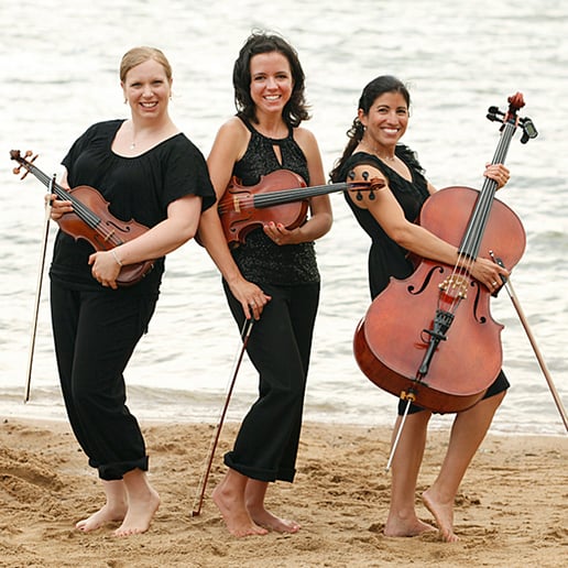 Gallery photo 8 of Crescendo Trio