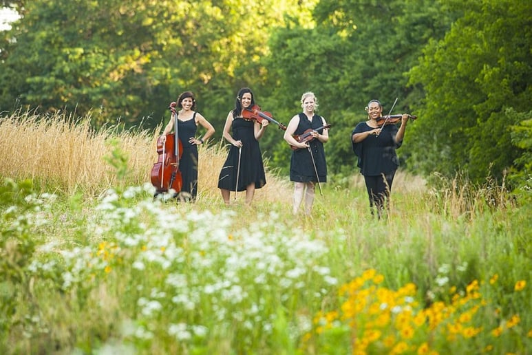 Gallery photo 6 of Crescendo Trio