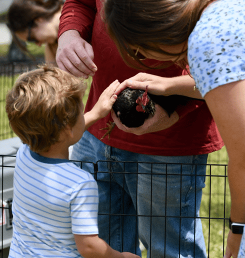 Gallery photo 4 of Critters on Call (Sheehan Homestead LLC)