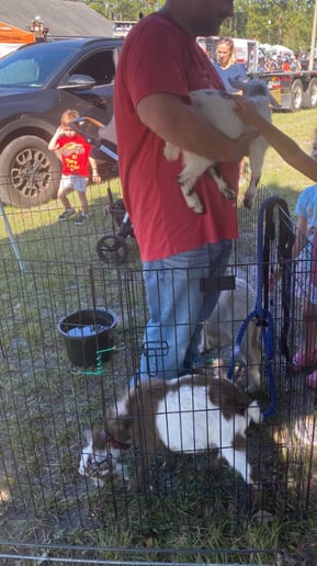 Gallery photo 6 of Critters on Call (Sheehan Homestead LLC)