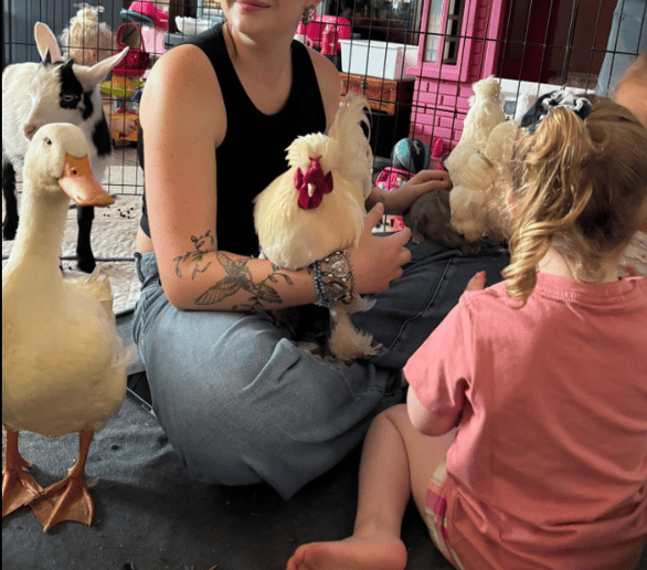 Gallery photo 9 of Critters on Call (Sheehan Homestead LLC)