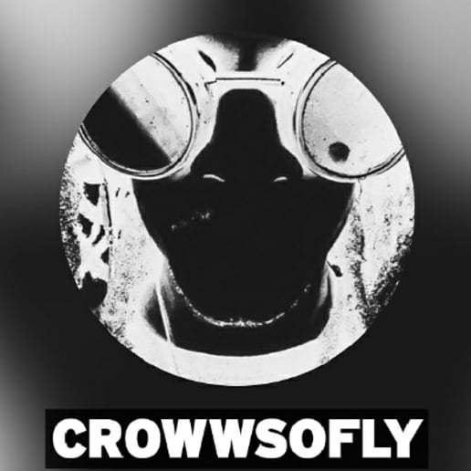 Gallery photo 3 of CrowWsoFly