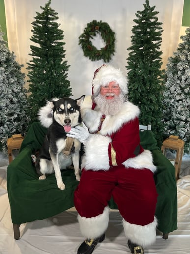 Gallery photo 4 of CT-Santa
