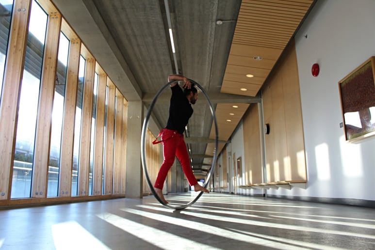 Gallery photo 3 of Matthew Bagshaw Circus