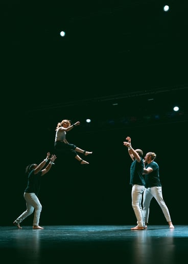 Gallery photo 8 of Matthew Bagshaw Circus