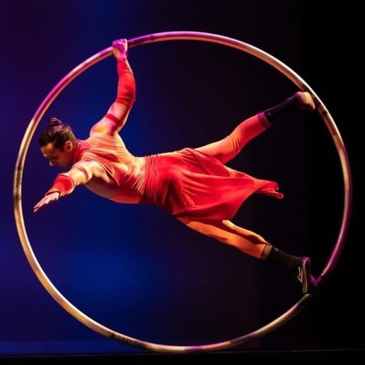 Gallery photo 3 of Cyr Wheel/LED Performance