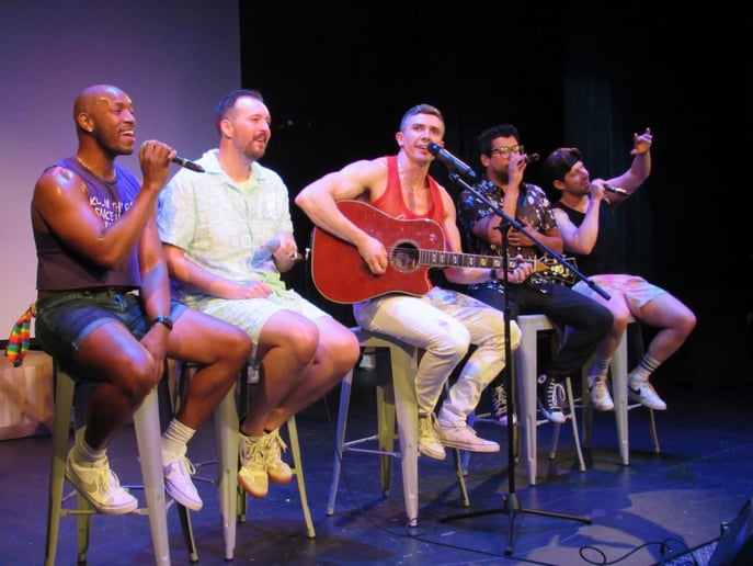 Gallery photo 1 of D-TOWN: Denver’s #1 Over-30 Boy Band