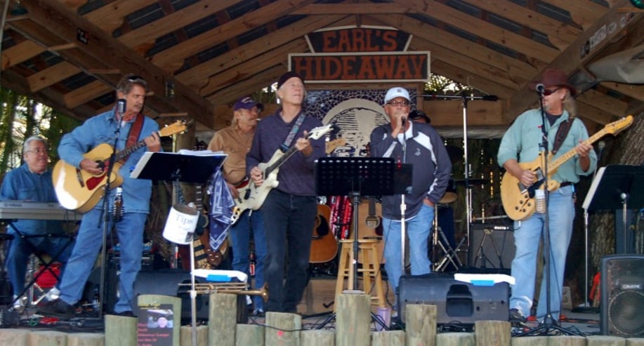 Gallery photo 1 of Daddy Wags Band