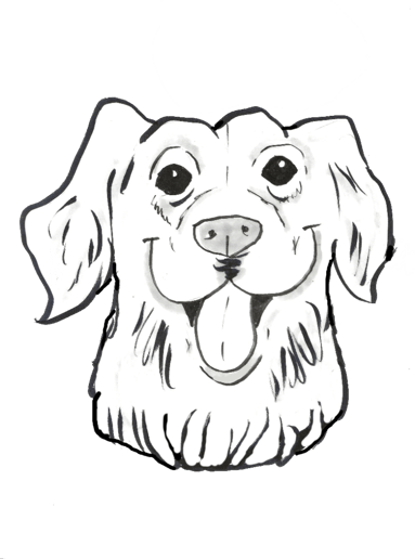 Gallery photo 6 of Daffy Doodles Cartoon Portraits (Caricatures)