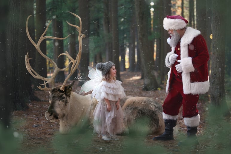 Gallery photo 1 of New England Santa Claus