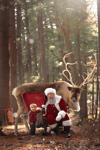 Gallery photo 10 of New England Santa Claus